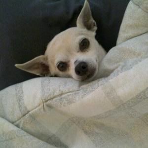 Meet your Posher, Sonya